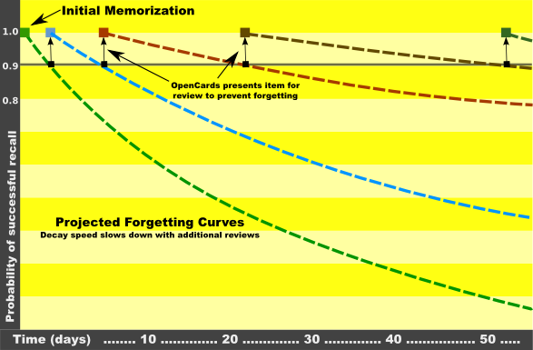 The forgetting-curve